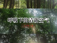 -白塘生态植物园