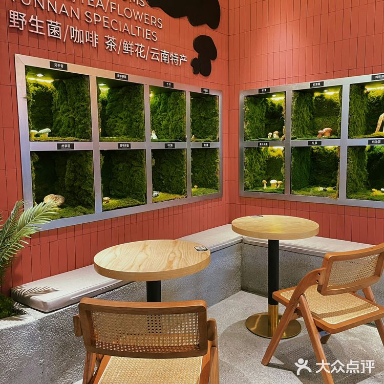 把云南地标美食都搬来深圳啦！芸山季·云南野生菌火锅