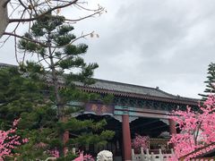 -厦门方特梦幻王国