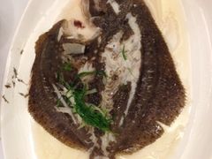 多宝鱼-海逸海鲜酒家(古北店)