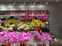 -盒马X会员店(王府井奥莱UP TOWN店)