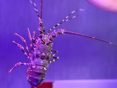 -金成潮菜博物馆(海珠湿地店)