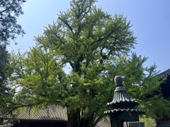 -红螺寺