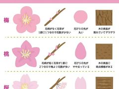 -山东师范大学(千佛山校区)