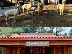 -南丹山森林王国