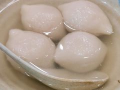 鲜肉汤圆-高行汤团店(金高路店)