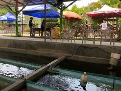 -小象钓虾·营地烧烤(洛溪店)