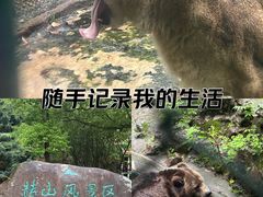 -赭山公园