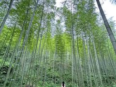-黄公望隐居地