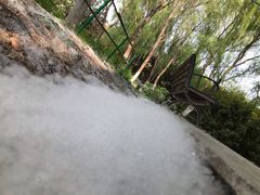 -合肥三国新城遗址公园