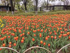 -玄武湖景区-情侣园游乐场