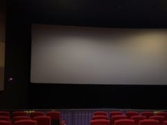 -保利国际影城杭州中南店