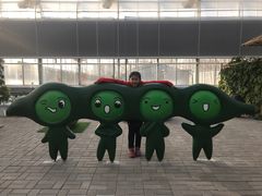 -北戴河集发农业梦想王国