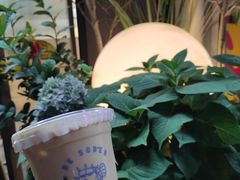 -BE SOBER COFFEE