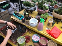 -秦美花卉(天朗·莱茵小城2期店)