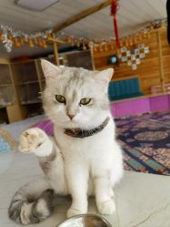 -萌宠亲子动物乐园(槐房万达店)