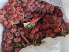 -东方鼎信农副产品交易中心