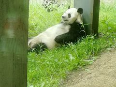 -沈阳森林动物园