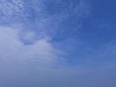 -南沙蒲洲花园