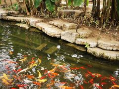 -南通洲际绿博园