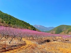 -丽江泸沽湖景区