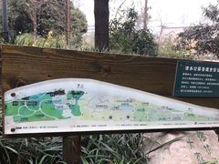 -成都市活水公园