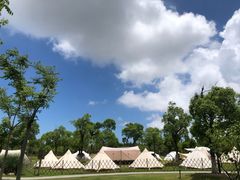 -上海长兴岛郊野公园