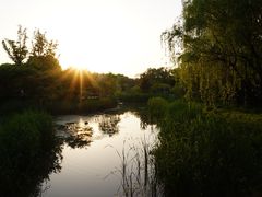 -昆山城市生态森林公园