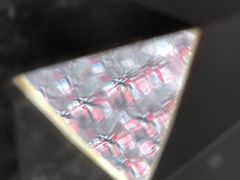 -华润深圳湾体育中心-“春茧” 体育馆