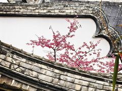 -乌山风景区