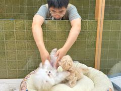 -帕帕拉兹宠物(亚洲旗舰店)