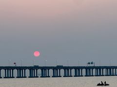 -宝安西湾红树林湿地公园