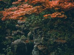 -灵隐飞来峰景区