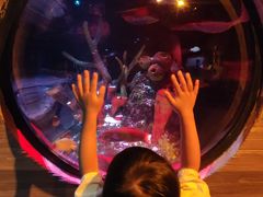 -沈阳海洋探索中心