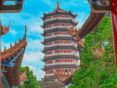 -莲花岛景区