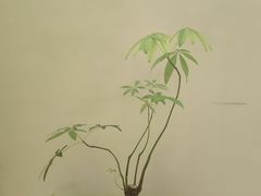 -不凡脑禅境·养生·舒压调理SPA(华发世纪城店)