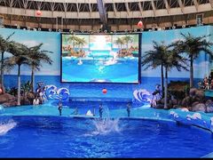 -海合安成都极地海洋公园