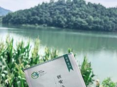 -新安江山水画廊风景区