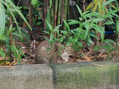 -晓港公园