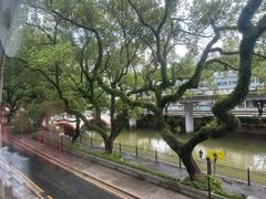 -广东胜利宾馆西关粤中餐厅