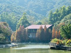 -广州市帽峰山景区