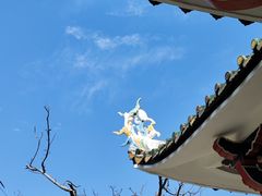 -集美鳌园景区