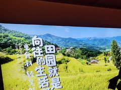 -杨厨的田园饭店(长城路店)