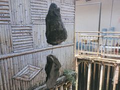 -崖口红树林海鲜餐厅