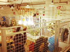 大堂-Kitchen·Y洋厨房西餐厅(王府壹号店)