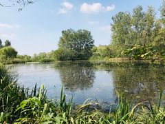 -溱湖国家湿地公园