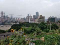-悟饮门市景店