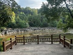 -铁山坪森林公园