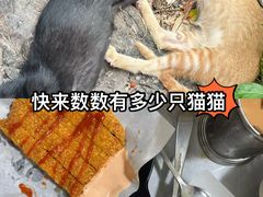 -颓记茶餐厅(美景总店)