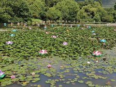 -白马涧龙池景区